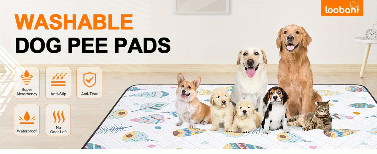 Washable Dog Pee Pads in White, 2-Pack Multiple Sizes or 18 x 24 Inch 6-Pack, Reusable Non-Slip Puppy Training and Whelping Mats for Crates and Playpens