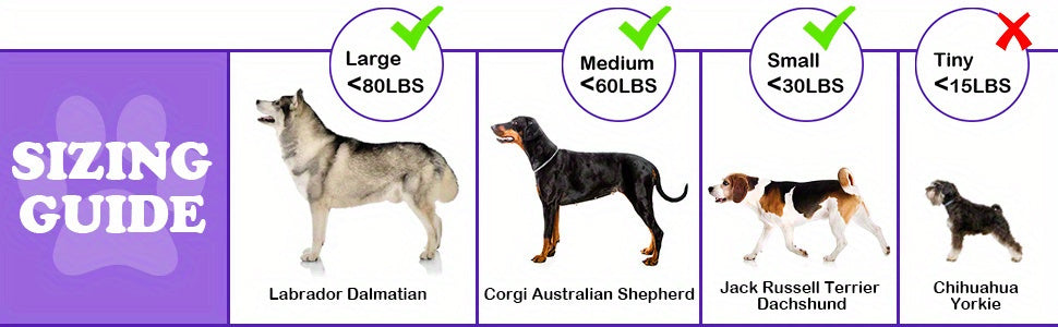 Tough Dog Chew Toy Set for Medium and Large Dogs, Textured Nylon Chewing Toys in 2-Piece or 3-Piece Bone Pack Options for Supervised Play
