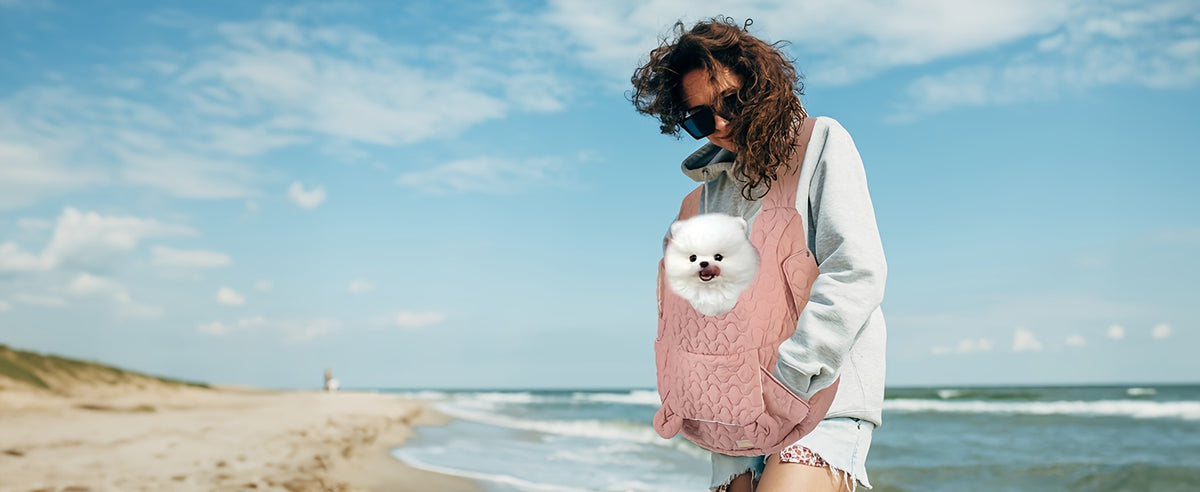 Front Dog Carrier Sling with Lined Winter Pet Pouch, Wide Shoulder Straps and Open-Top Design for Small Dog Outings, Grey Blue or Beige White
