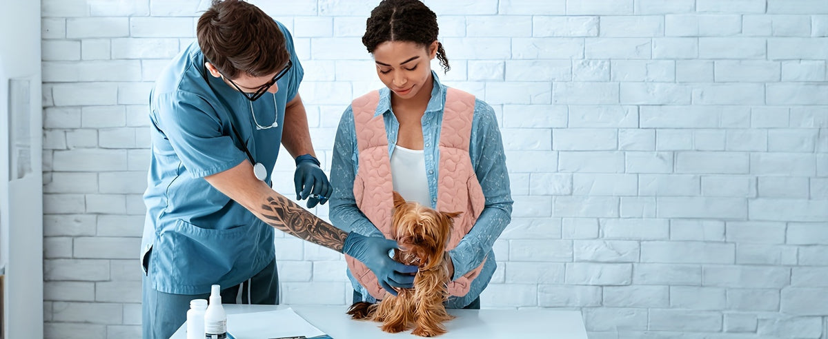 Front Dog Carrier Sling with Lined Winter Pet Pouch, Wide Shoulder Straps and Open-Top Design for Small Dog Outings, Grey Blue or Beige White