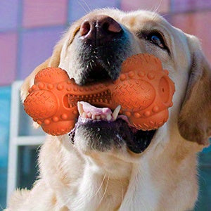 Rubber Dog Chew Bone with Dual Squeakers, Textured Natural Rubber Toy with Beef Scent for Medium and Large Dogs, Interactive Fetch and Supervised Play
