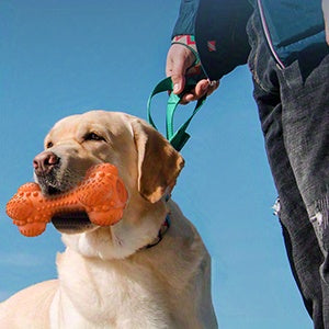 Rubber Dog Chew Bone with Dual Squeakers, Textured Natural Rubber Toy with Beef Scent for Medium and Large Dogs, Interactive Fetch and Supervised Play
