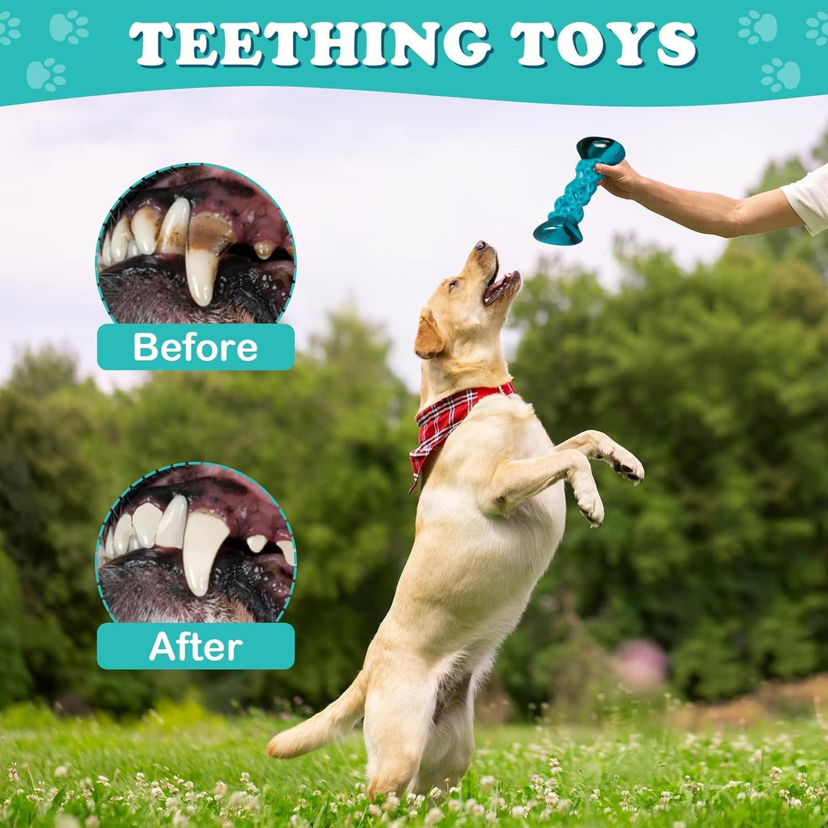Dog Chew Toy with Twisted Bone Texture, Beef-Flavored Nylon Chewing Bone 6.7 Inches for Medium and Large Dogs, Single Piece for Supervised Play