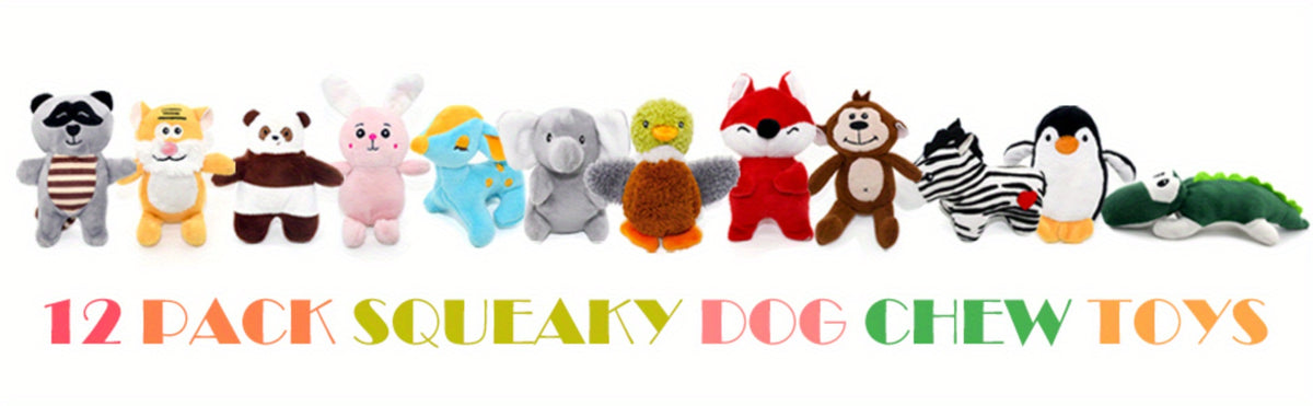 Squeaky Dog Toy Gift Set 12 Pack, Soft Stuffed Animal Puppy Toys with Storage Box for Small and Medium Dogs, Gentle Chewing and Supervised Fetch