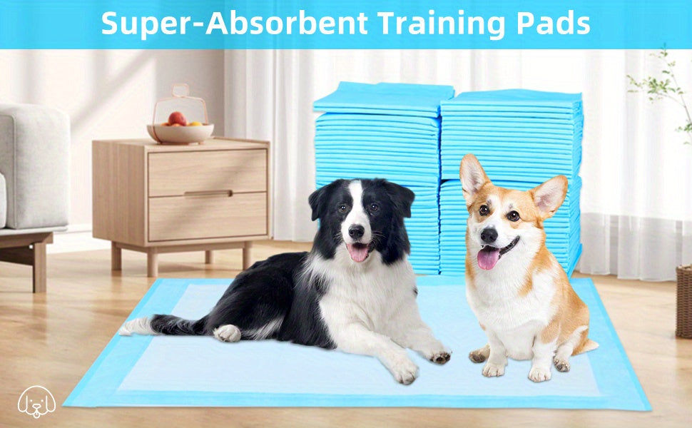 Puppy Pee Pads 23.6 x 23.6 Inch, Bulk Absorbent Dog Potty Training Pads in 200, 300 or 400 Count Packs for Indoor Housebreaking Routines