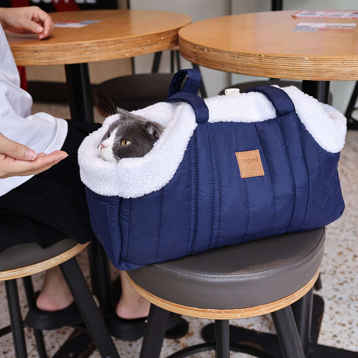 Pet Carrier Handbag with Snap Closure, Open-Top Winter Carrying Bag for Cool-Weather Outings in Green, Beige or Grey by Goodie Pet