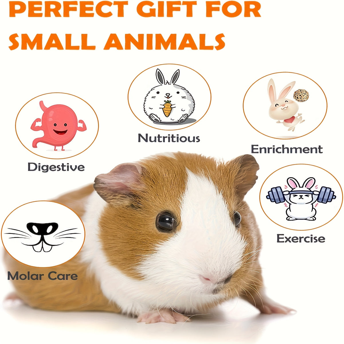 Hamster Chew Toys, 12-Piece Natural Wood Small Pet Accessory Set with Balls and Climbing Sticks for Guinea Pigs and Chinchillas