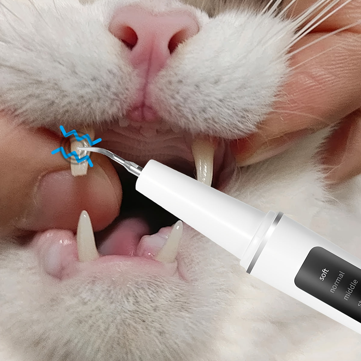 Pet Teeth Cleaning Kit for Cats and Dogs, USB Rechargeable Electric Tooth Cleaner with 4 Cleaning Heads and 5 Modes, Stain and Tartar Remover for At-Home Pet Dental Care, Quiet Low Noise Design