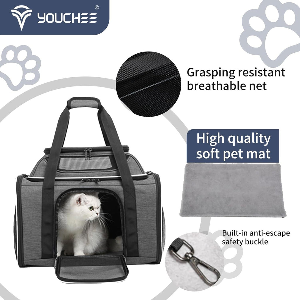 XL Soft-Sided Pet Carrier 19 x 12 x 17 Inch for Cats and Small Dogs up to 25 lbs, Five-Side Mesh Travel Bag with Expandable Top and Removable Mat