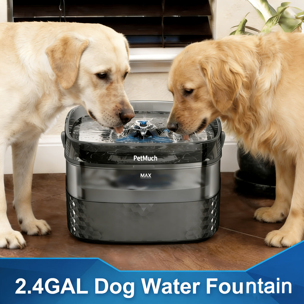 Dog Water Fountain WF340 9L for Large Dogs and Multi-Pet Homes, Quiet Pump Drinking Dispenser with Fountain Bundle and Replacement Filter Options