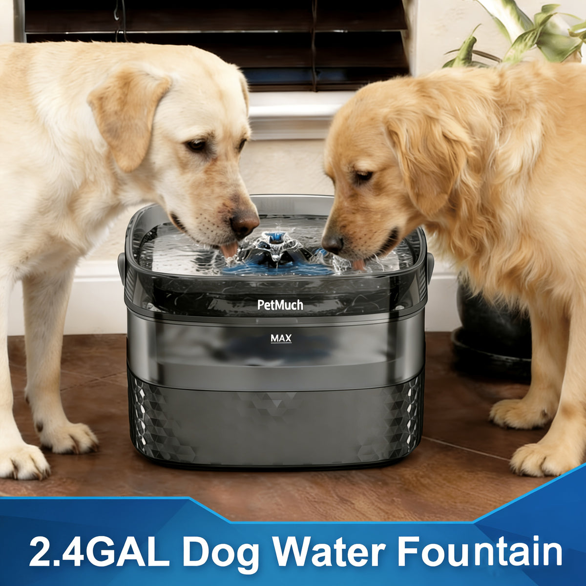 Dog Water Fountain WF340 9L for Large Dogs and Multi-Pet Homes, Quiet Pump Drinking Dispenser with Fountain Bundle and Replacement Filter Options