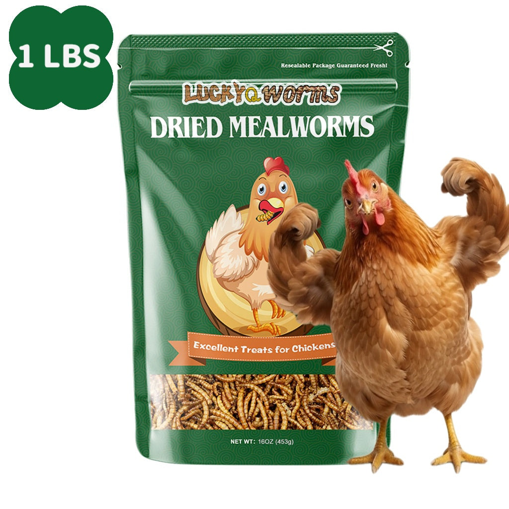 Dried Mealworms for Chickens and Wild Birds, Insect Treats for Backyard Feeding and Foraging Routines with Small and Bulk Weight Options