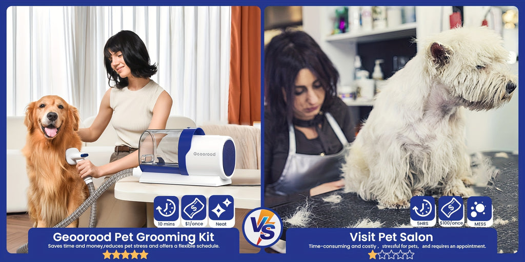 Dog Grooming Vacuum Kit G2 with Clippers, 2.5L Hair Collection Canister, 4 Grooming and Cleaning Tools and 3 Suction Levels, Blue or Green