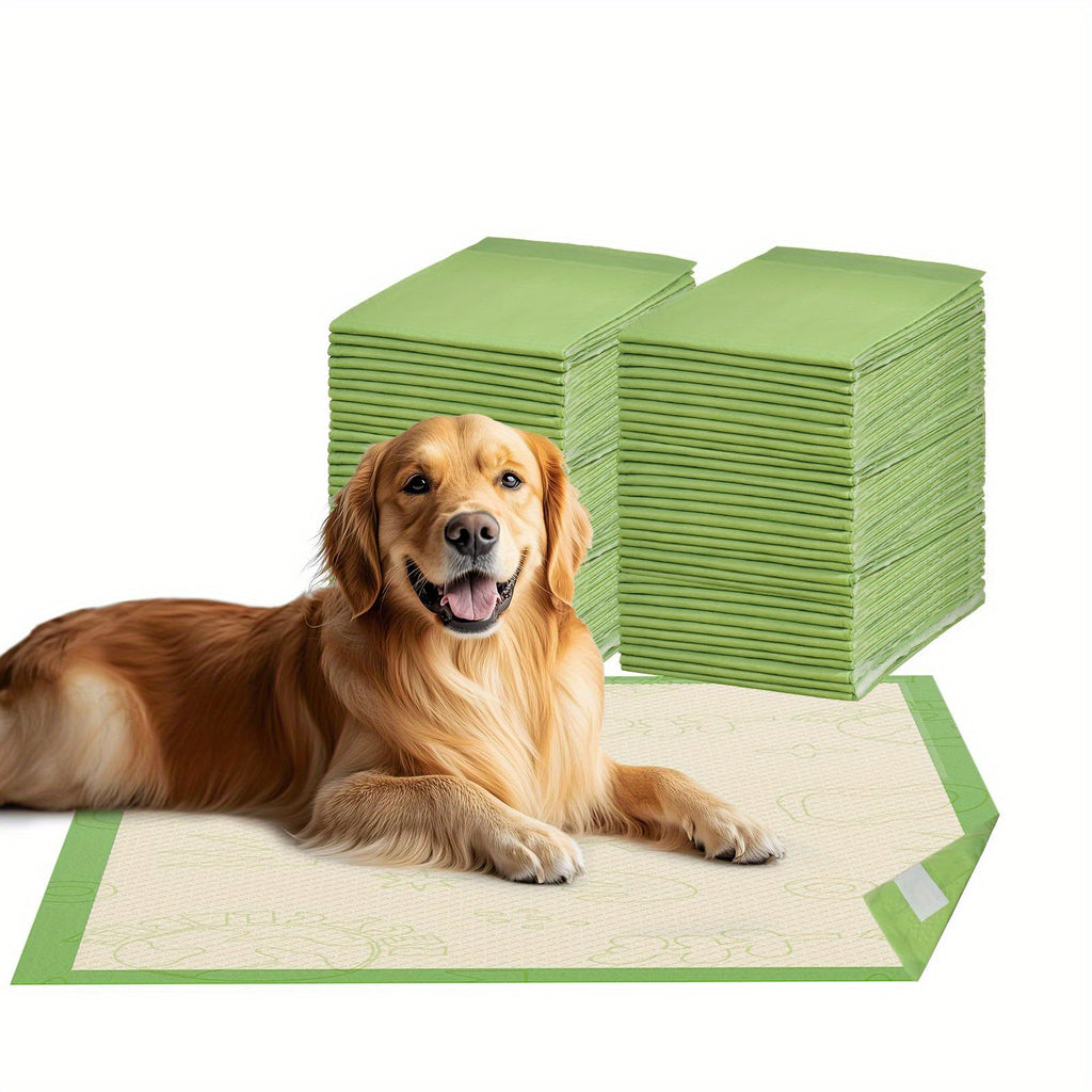 Dog Pee Pads 24 x 24 Inches, 6-Layer Disposable Puppy Training Pads with Absorbent Core and Waterproof Backing, 50 or 100 Count Packs