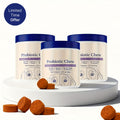 Seafood Flavor Dog Probiotic Chews 3-Pack, Soft Chewable Nutritional Supplement with Listed 90 Count and 360g for Canine Daily Care Routines