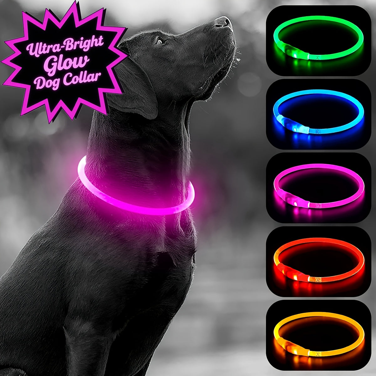 Rechargeable LED Dog Collar with Cut-to-Fit Glow Tube, 3-Mode Light Up Neck Ring for Night Walking and Running, Single and Multi-Pack Color Options