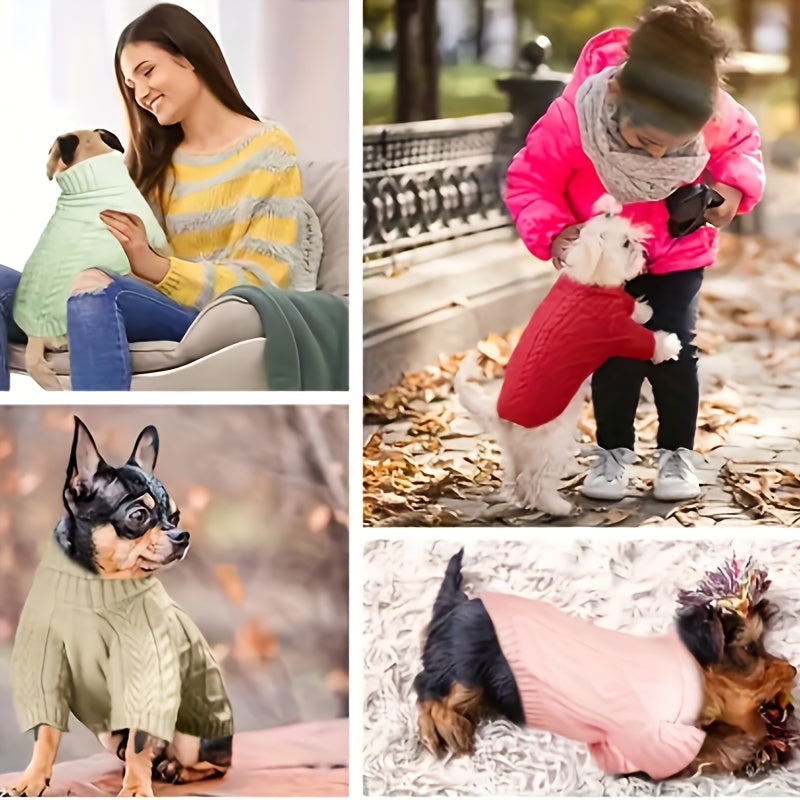 Turtleneck Dog Sweater for Small and Medium Dogs, Warm Pet Clothing in Yellow-Green, Orange Red, Fuchsia or Blue with XS to XL Size Options