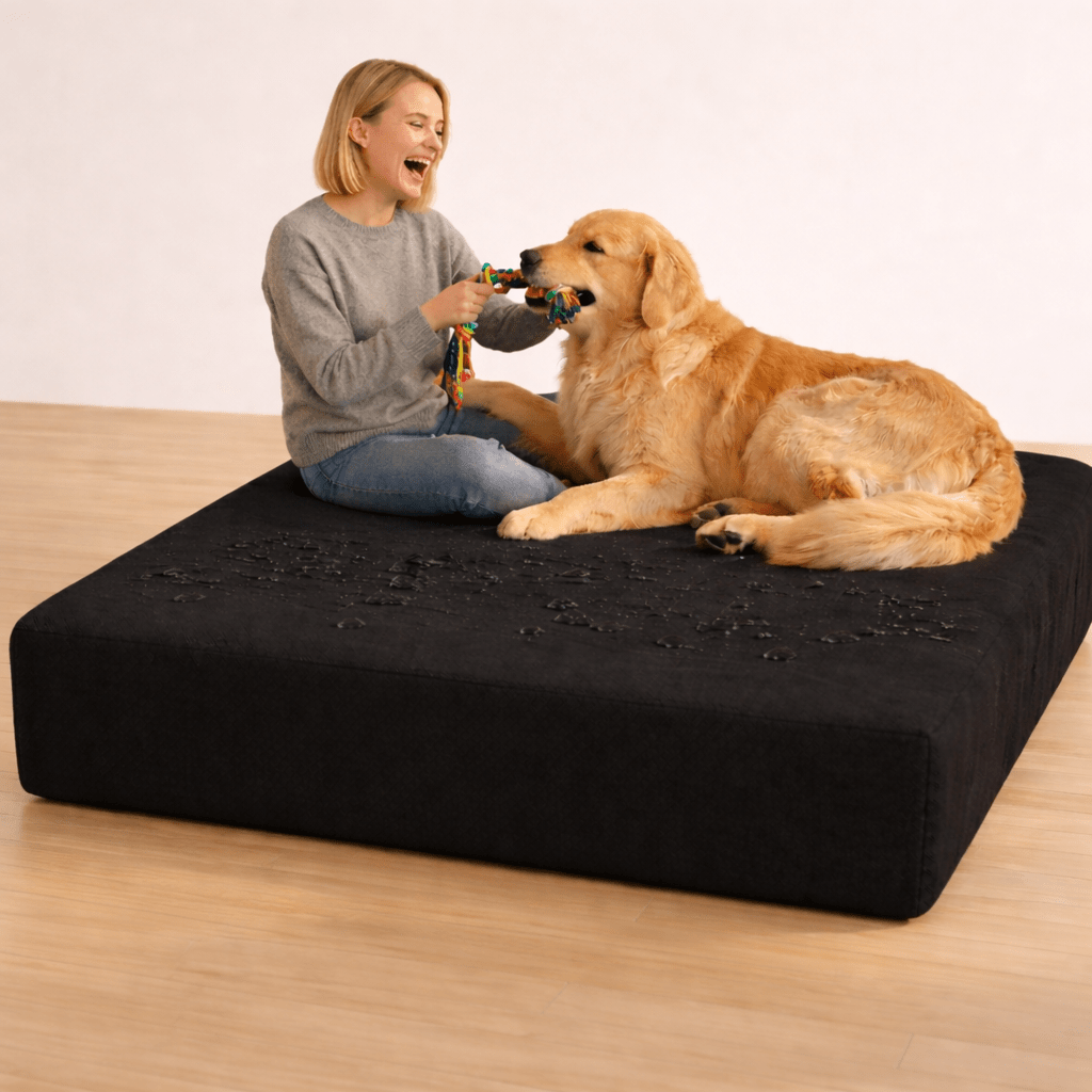 Water Repellent Dog Bed Cover 36x27x4 Inch, Washable Pet Bed Cushion Cover with Zipper, Scratch Resistant Replacement Cover for Medium Large Dogs, Grey Navy Black