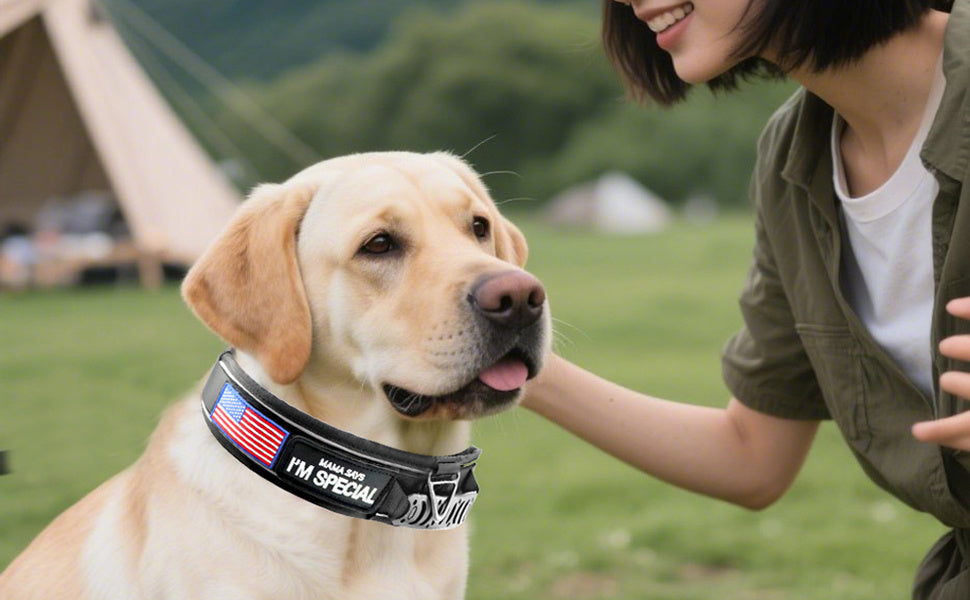 Tactical Dog Collar 2.6 Inch Wide with Padded Control Handle, Reflective Adjustable Nylon and Mesh Collar with Metal Buckle and 2 Patches, M L XL