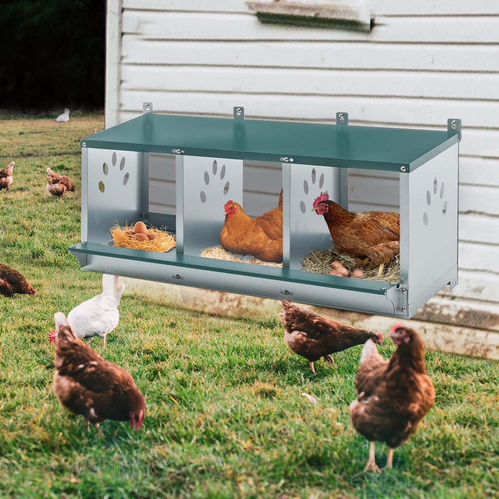 Galvanized Steel Chicken Nesting Box with Ventilation Holes, Green Model 0206 Hen Nest with Removable Divider and Nest Pad for Backyard Coops