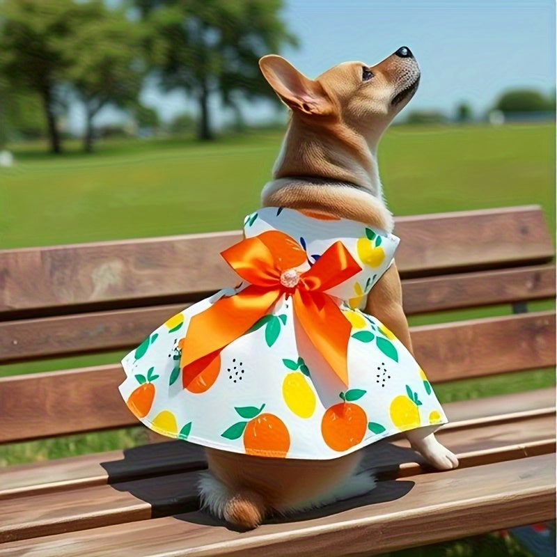 Dog Dresses 4 Pack with Bow Accents, Floral Strawberry Daisy and Citrus Pet Outfits for Summer Dress-Up, Birthday Photos and Parties, XS–XXL
