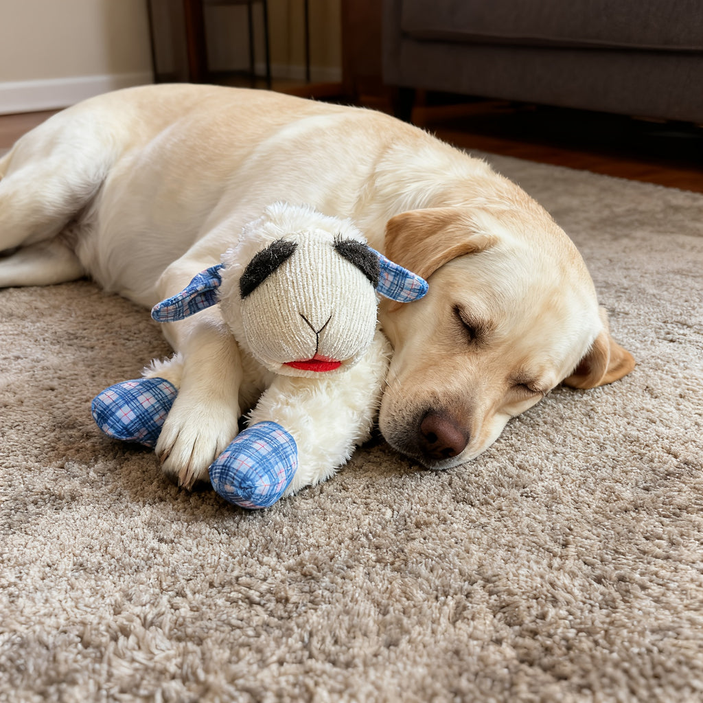 Squeaky Plush Dog Toy with 5 Sound Makers, White Soft Pet Companion for Gentle Small and Medium Dogs, Supervised Indoor Play and Dog Lover Gifts