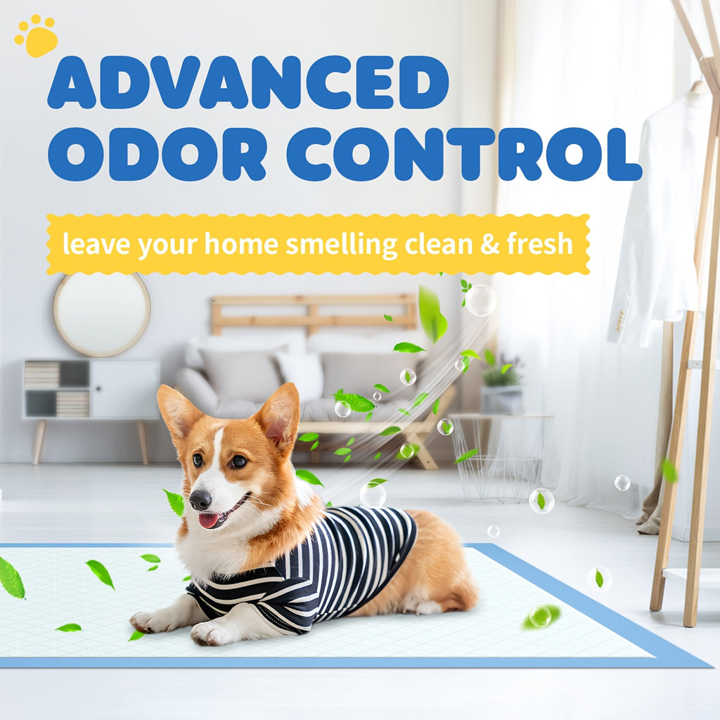 Dog Pee Pads 100 Count with 6-Layer Absorption, Disposable Puppy Potty Training Pads with Odor Control and Leak Protection, 34 x 28 or 22 x 22 Inch