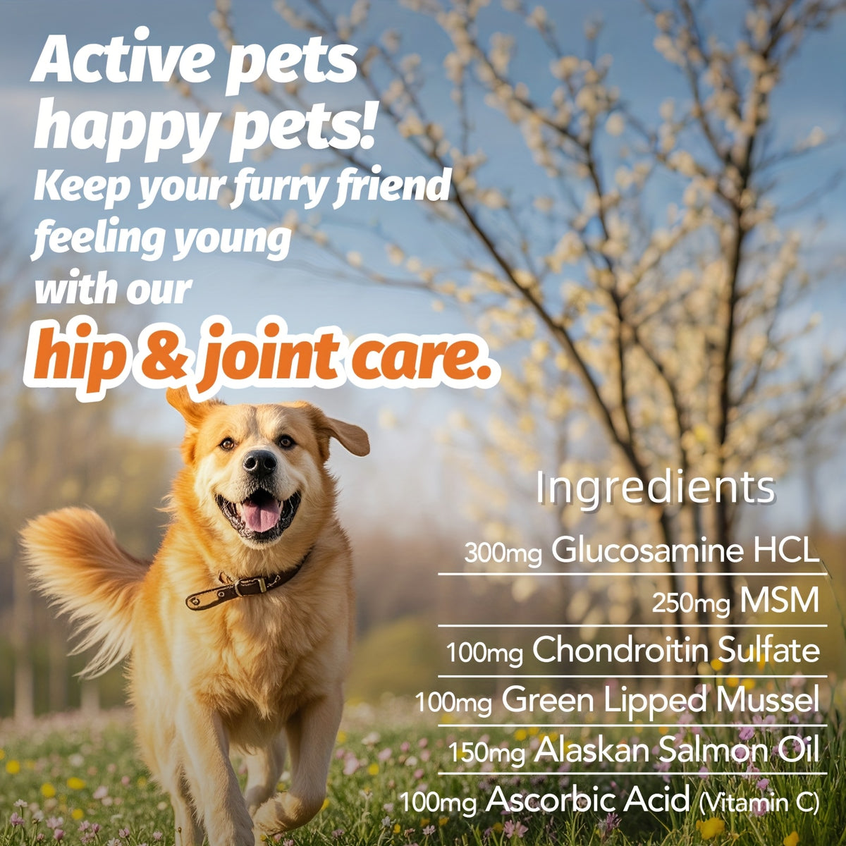 Dog Hip and Joint Supplement Chews, Chicken Flavor with Glucosamine, Chondroitin, Alaskan Salmon Oil and MSM, 90 Count Listing with One or Two Bottle Options