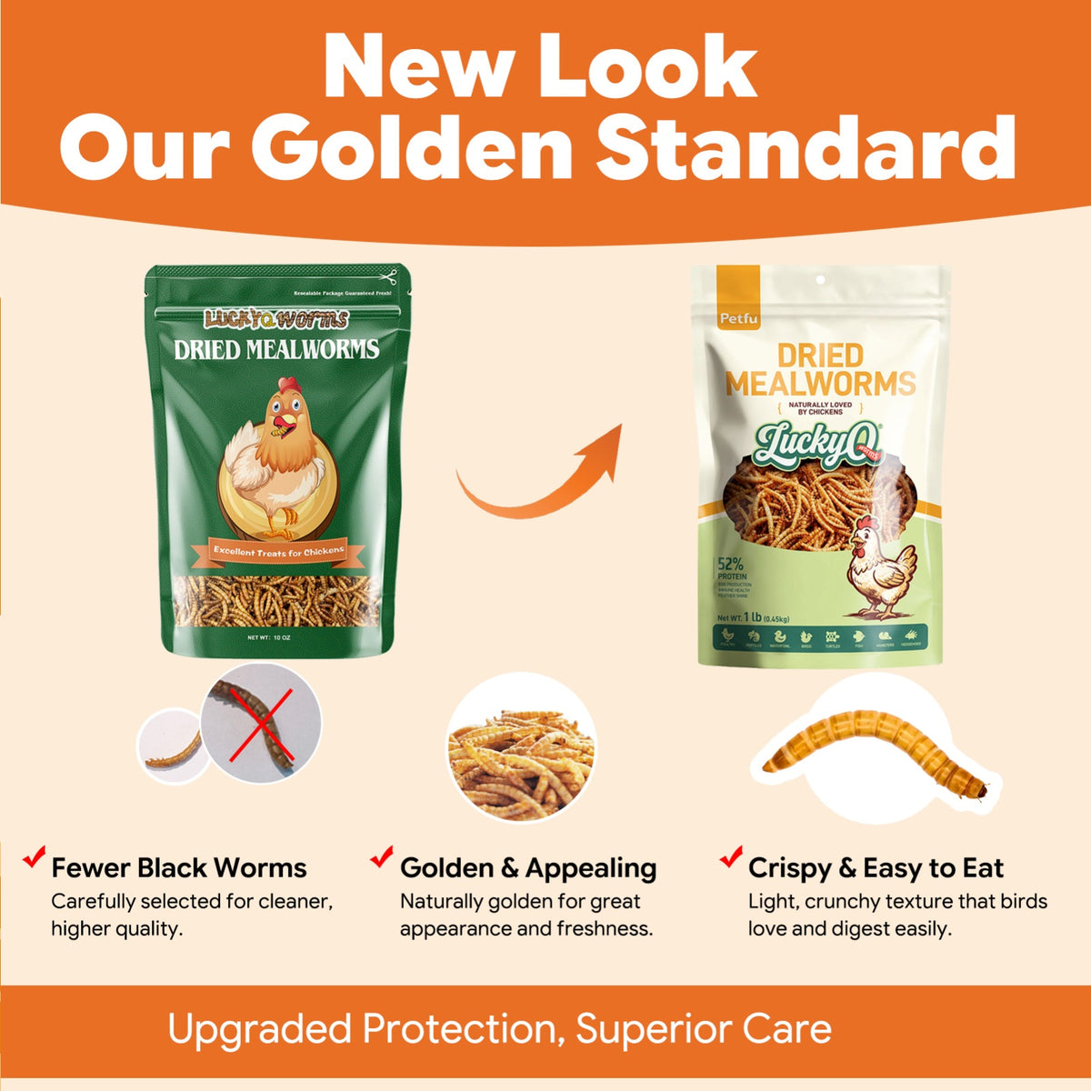 Dried Mealworms for Chickens and Wild Birds, Insect Treats for Backyard Feeding and Foraging Routines with Small and Bulk Weight Options