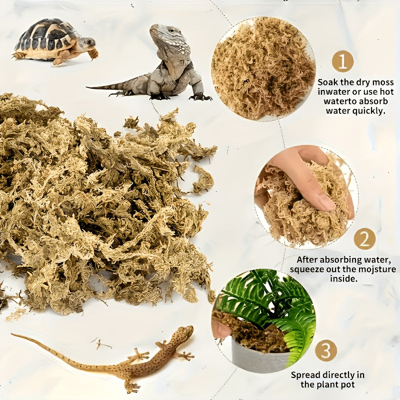 Peat Moss for Reptile Habitats, Orchids and Carnivorous Plants, Compressed Water-Expanding Dry Moss in 100g or 200g Packs for Planting Projects