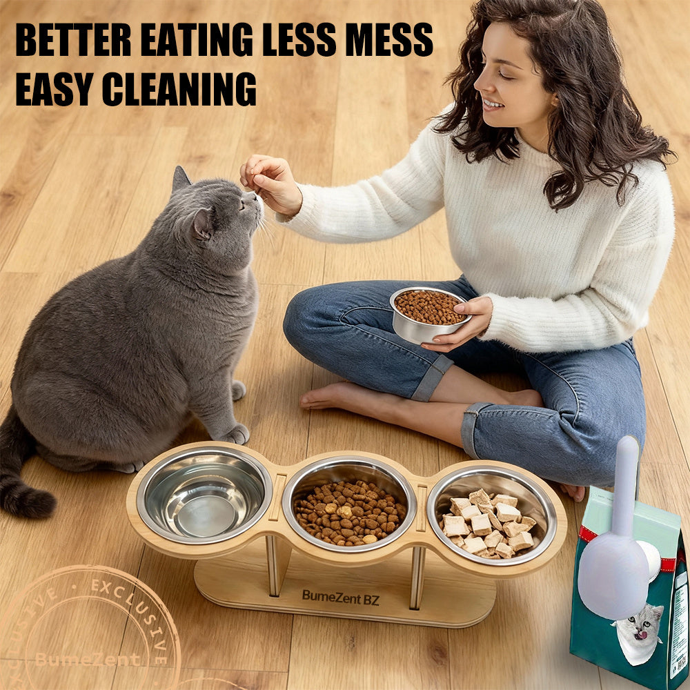 Elevated Cat Bowl Set with Spoon Option, Stainless Steel Food and Water Bowls on Stand for Cats, Kittens, Puppies and Small Pets at Home