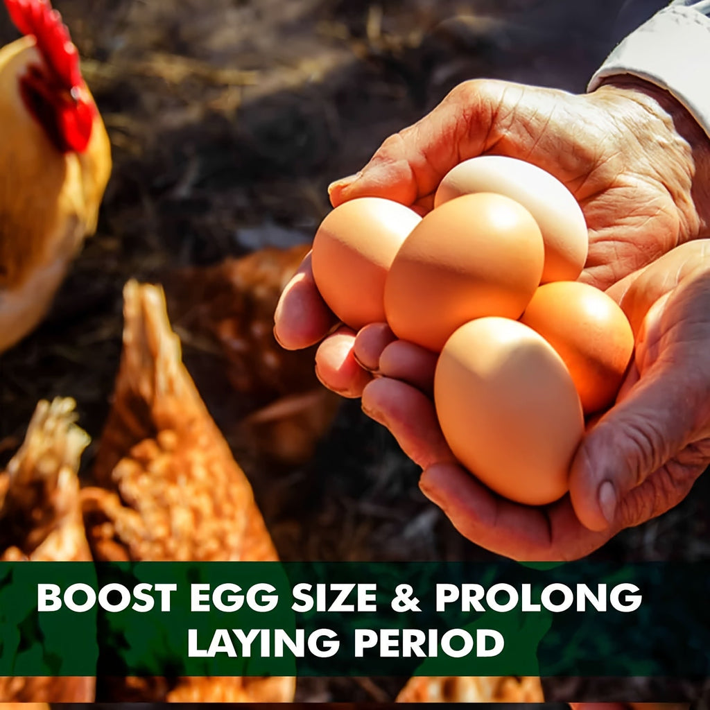 Dried Grubs for Chickens 5 lb, Black Soldier Fly Larvae Treats for Backyard Flocks, Supplemental Insect Snacks for Everyday Feeding and Foraging