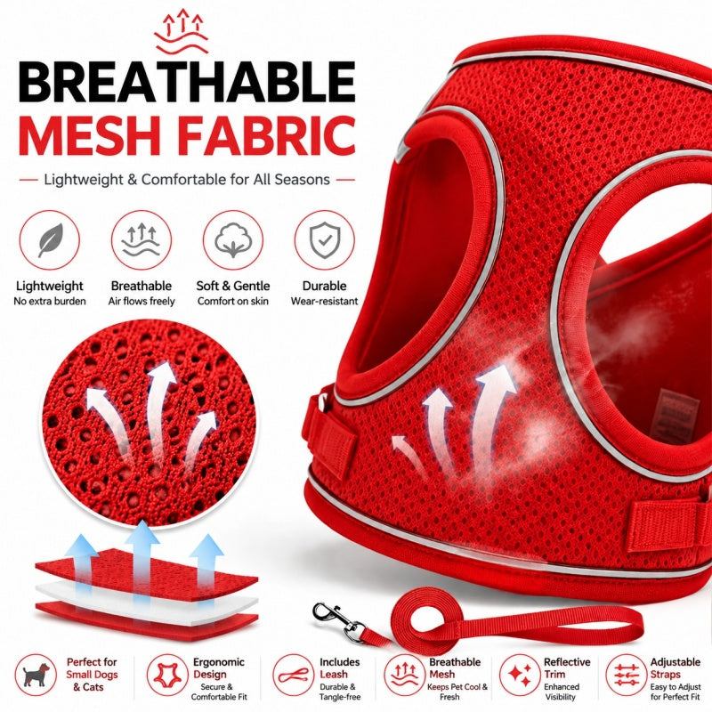 Small Dog Harness and Leash Set, Lightweight Breathable Mesh Vest with Reflective Trim for Cats and Puppies, XS S L XL Walking Gear