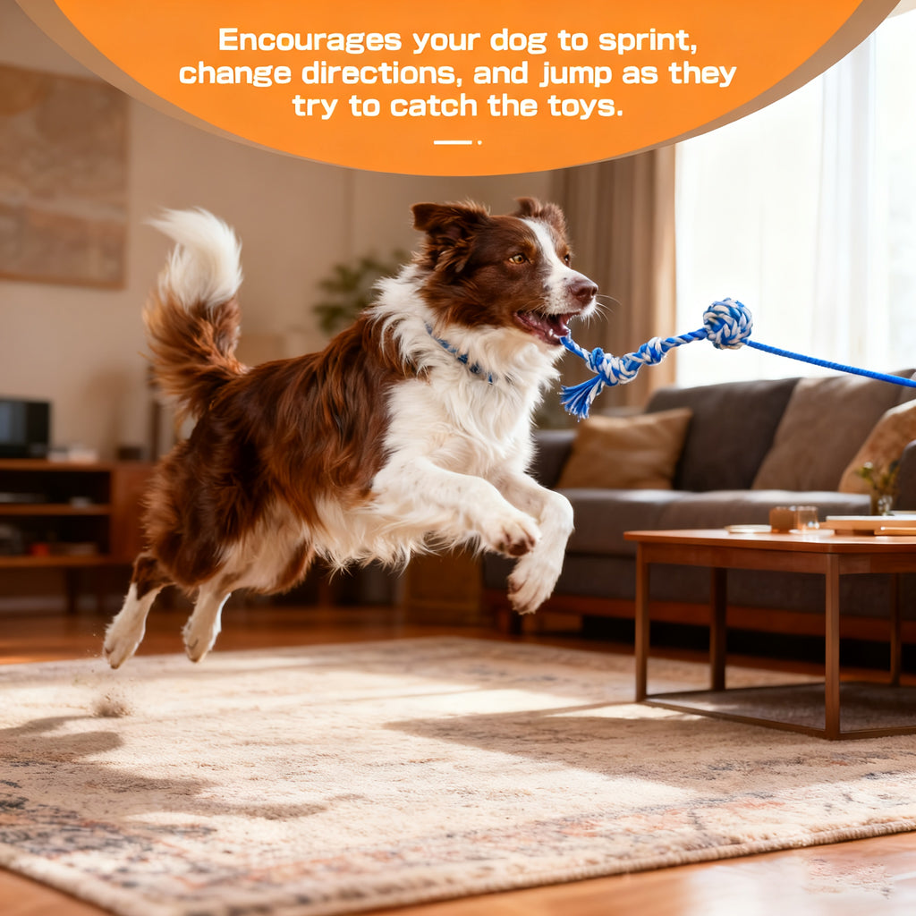 Dog Flirt Pole with Extendable Aluminum Alloy Wand and Detachable Lure, Interactive Chase Toy for Exercise and Obedience Training