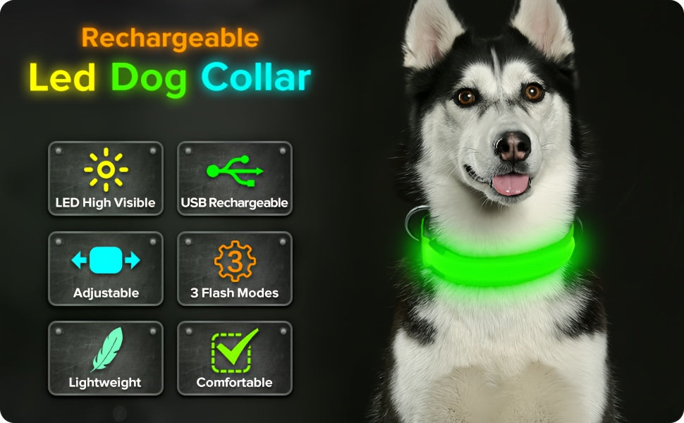 Light Up Dog Collar with 4 Bells, Micro USB Rechargeable LED Nylon Pet Collar with Adjustable Fit, Plastic Buckle and D-Ring for Night Walks