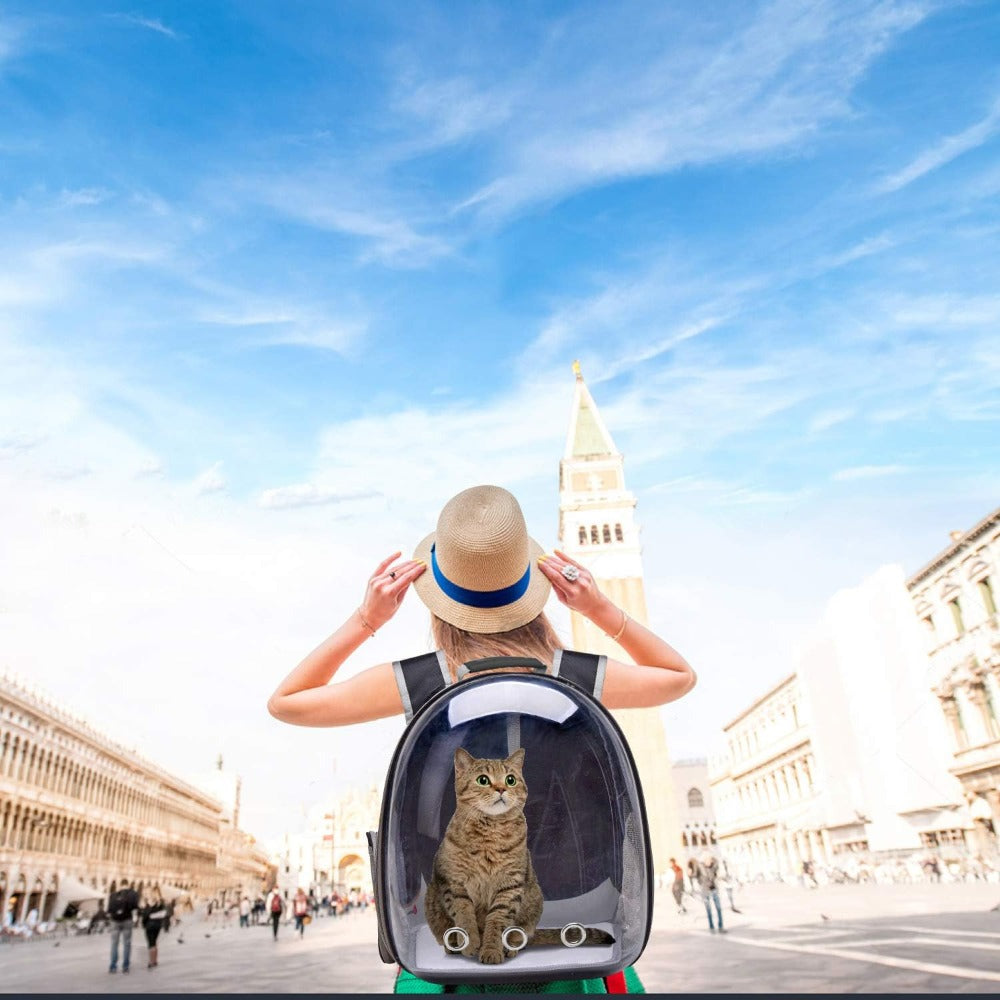 Space Capsule Cat Backpack in Black, Clear Breathable Pet Carrier with Zipper Closure for Cats and Small Dogs, Vet Visits and Outdoor Trips