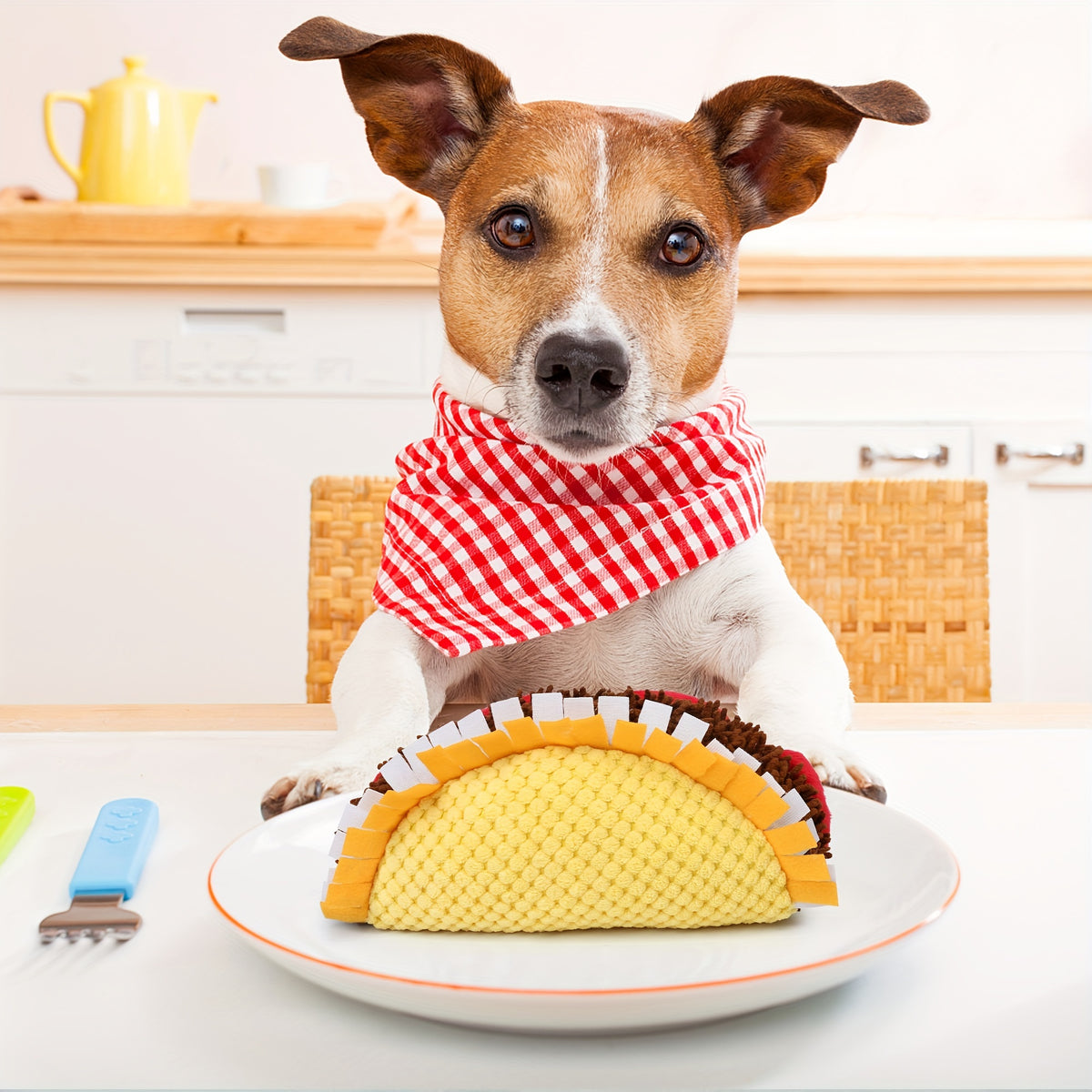 Squeaky Taco Dog Toy 8 Inch, Soft Textured Food-Shaped Plush for Gentle Fetch and Indoor Play, Funny Pet Birthday Gift for Dogs