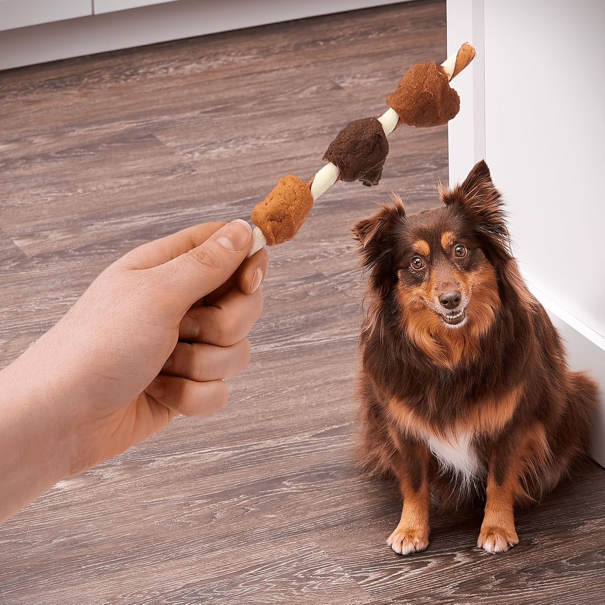 Dog Treat Skewers with Chicken, Beef and Duck Flavor Options, Kabob Snacks, Chicken Milk Sticks and Assorted Packs for Supervised Treat Time
