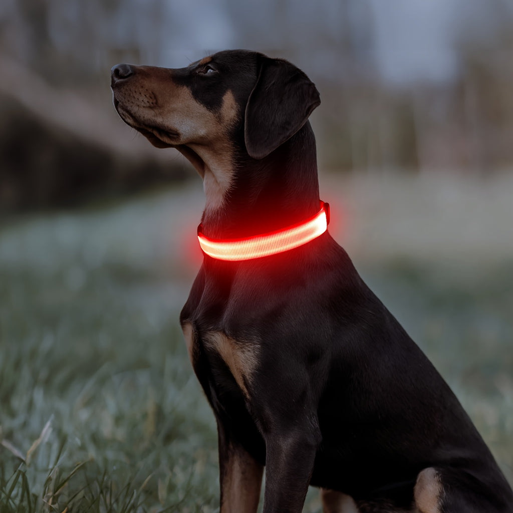 Light Up Dog Collar with 4 Bells, Micro USB Rechargeable LED Nylon Pet Collar with Adjustable Fit, Plastic Buckle and D-Ring for Night Walks