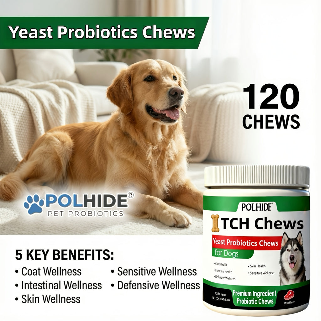 Heart-Shaped Dog Probiotic Chews, 120 Count Meat Flavor Yeast Soft Chews for Everyday Canine Nutritional Supplement and Wellness Routines