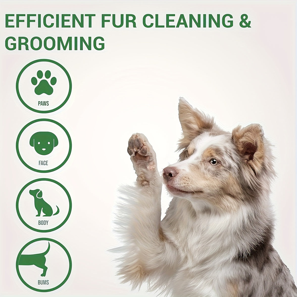 Pet Wet Wipes for Dogs and Cats, 80 Count Pack for Paw and Fur Surface Cleaning, Everyday Grooming Touch-Ups at Home and After Outdoor Walks