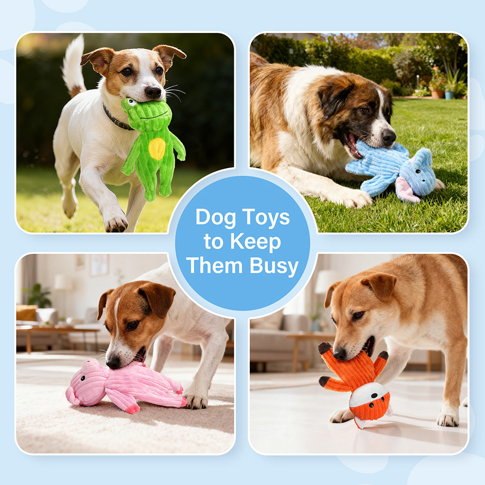 No Stuffing Squeaky Dog Toys 5 Pack, Soft Plush Fabric Toy Set for Small, Medium and Large Dogs, Interactive Supervised Play, Style B