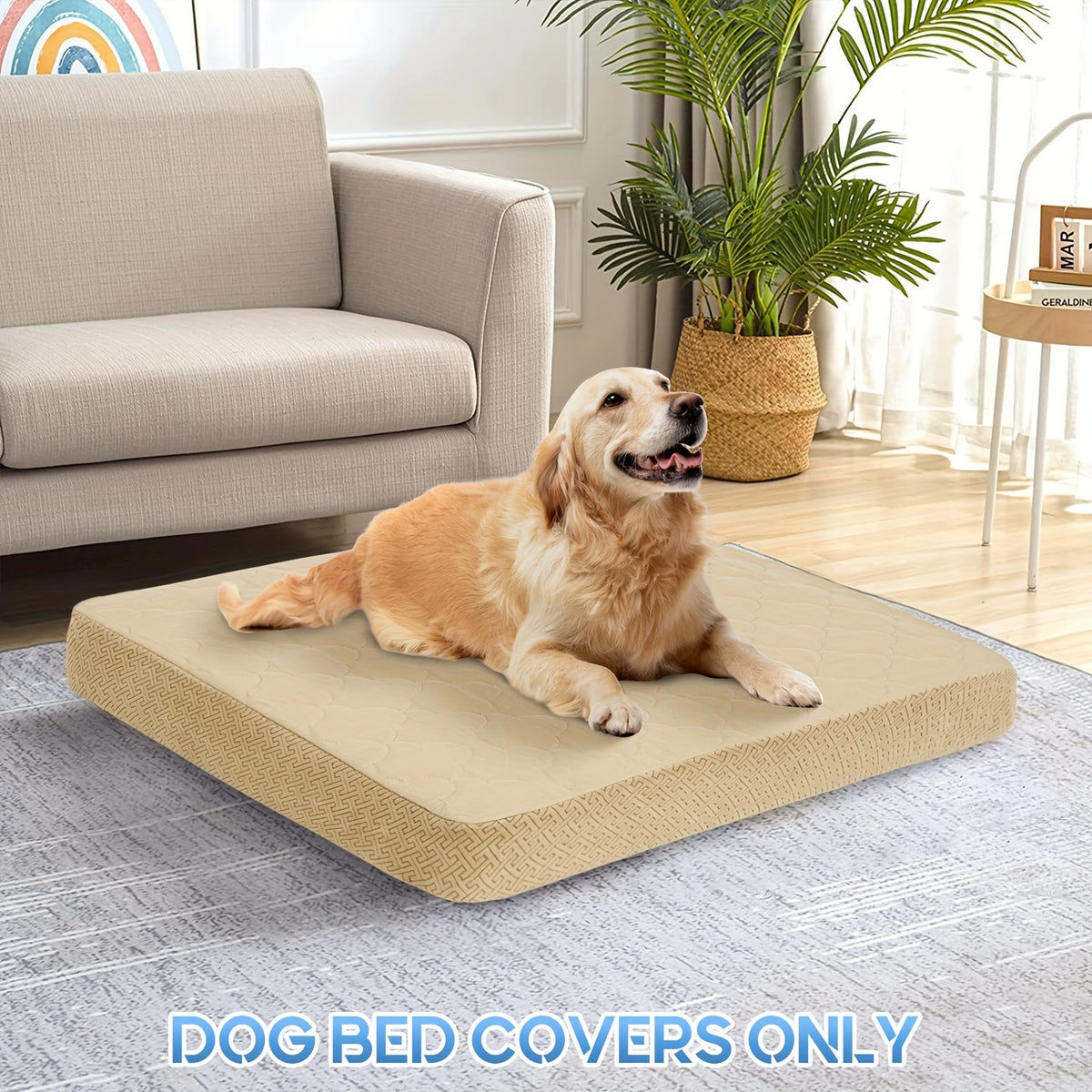 Dog Bed Replacement Cover, Washable Puppy Bed Cover Only in 30x20x6, 41x29x6 or 48x30x6 Inch Options for Compatible Pet Beds, No Insert Included