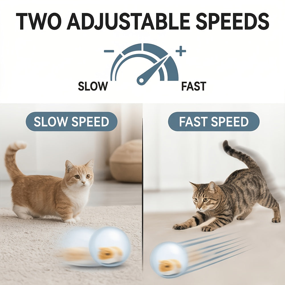 Motion Activated Cat Ball Toy, USB Powered Automatic Moving Pet Toy for Indoor Chase Play with Blue or Pink Rabbit and Squirrel Options