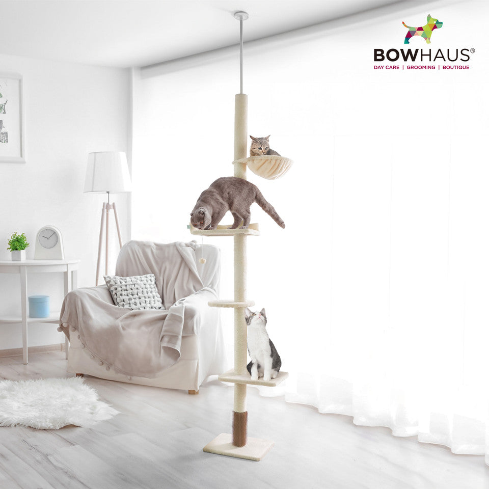Floor to Ceiling Cat Tree with Hammock, Adjustable Cactus Cat Tower with Sisal Scratching Post, Faux-Fur Platforms and Interactive Playball for Indoor Cats