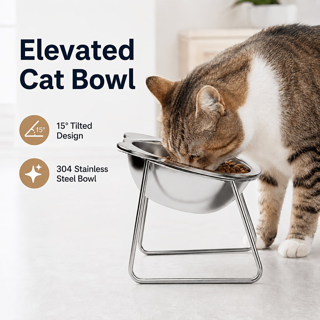 Tilted Cat Bowl with Metal Stand, 304 Stainless Steel Raised Feeding Dish with Cat-Ear Rim and 15 Degree Angle for Everyday Indoor Cat Meals