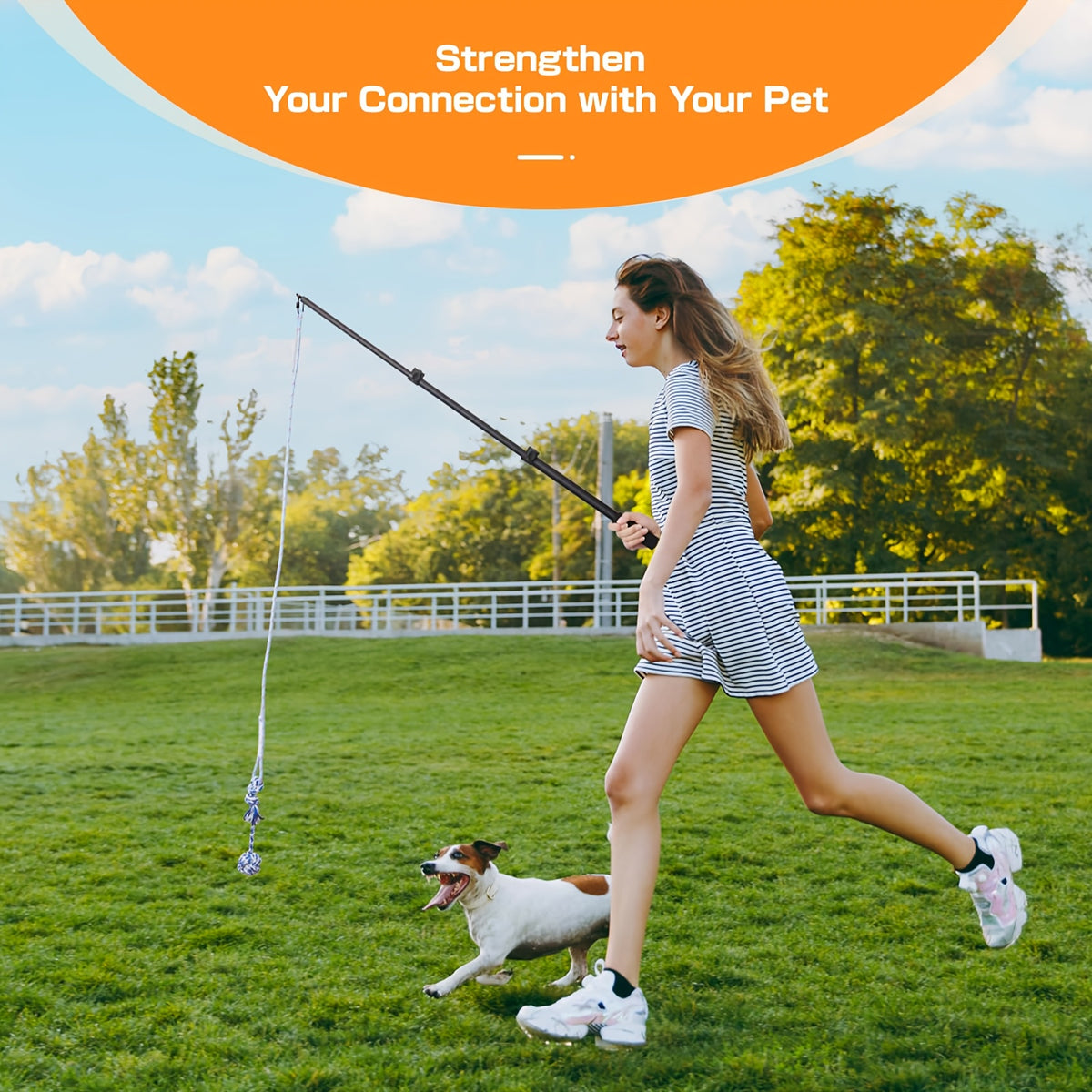 Dog Flirt Pole with Extendable Aluminum Alloy Wand and Detachable Lure, Interactive Chase Toy for Exercise and Obedience Training