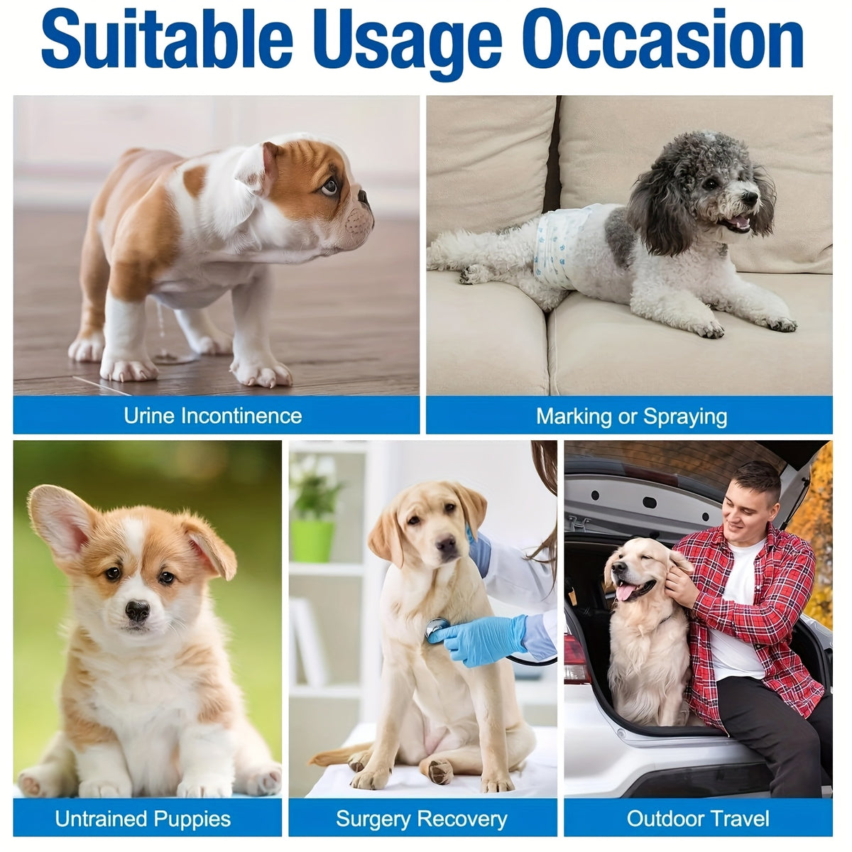 Disposable Dog Diapers 12 Pack with Adjustable Fasteners, Absorbent Male and Female S or M Options for Puppy Training, Senior Dog Accidents and Travel