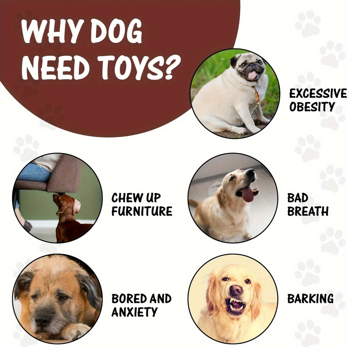 Stuffless Dog Toys 10 Pack with Crinkle and Squeaky Sounds, Random Animal Plush Assortment for Supervised Puppy Play, Gentle Fetch and Toy Rotation