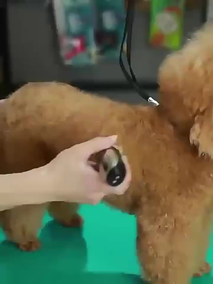 Rechargeable Dog Grooming Clippers Kit, Cordless Low-Noise Pet Hair Trimmer with Scissors and Comb for Small and Large Dogs and Cats